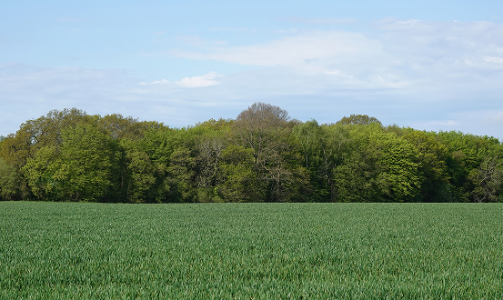 Car Locksmith Brentwood