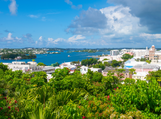 Car Locksmith Hamilton