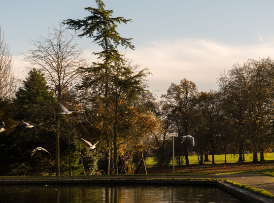 Car Locksmith Northampton