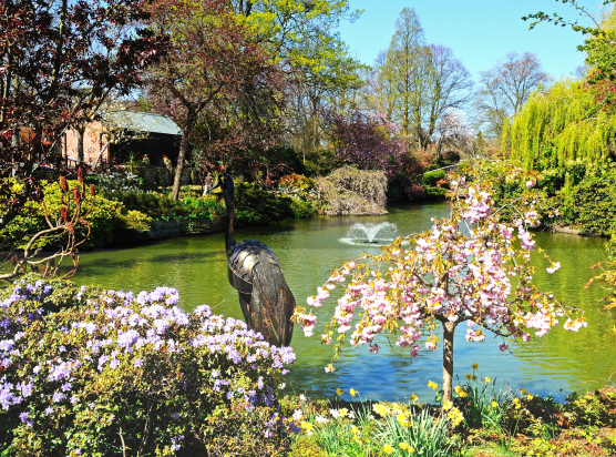 Car Locksmith Shrewsbury