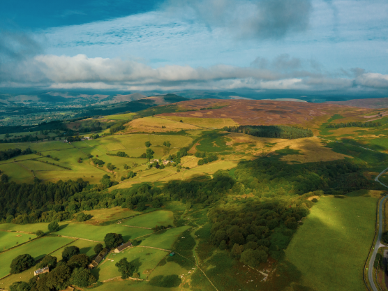 Emergency Car Locksmith
