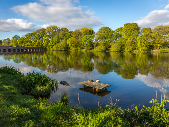 Emergency Car Locksmith