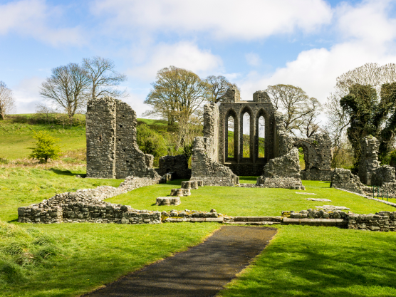 car locksmith county down