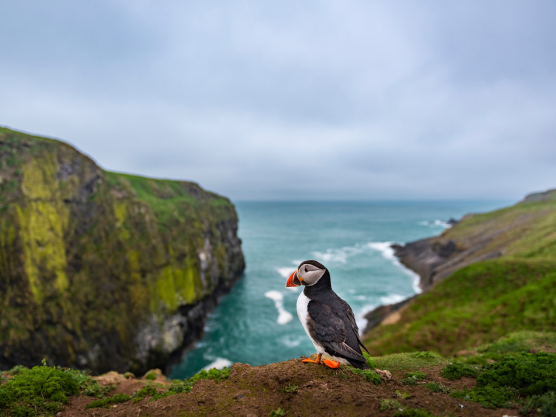 car locksmith pembrokeshire