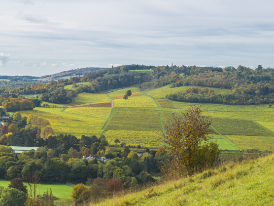 car locksmith surrey